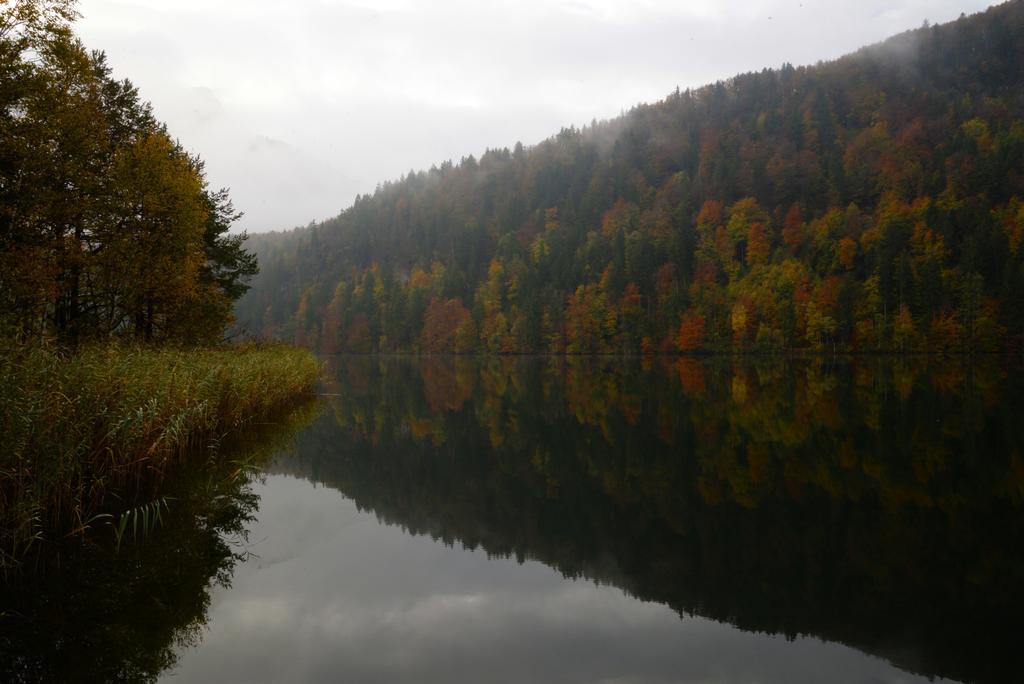 Landhaus Hohenschwangau Lejlighed Eksteriør billede